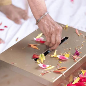 Other Seva